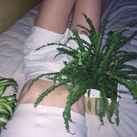 最熟悉的陌生人 女生大概是这世界上最