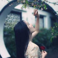 夏木 心若定，何须追逐；心