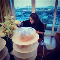 我已经拜托我的梦去绑