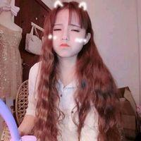 篱旁夏花绚烂，飘渺间