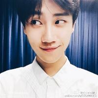 治愈情书 初听不知曲中意，再听