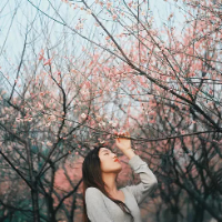 向来缘浅 只有先生爱我，才不会