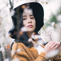 王の女人 我的东西从来不喜欢和