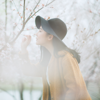 王の女人 我的东西从来不喜欢和