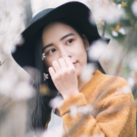 王の女人 我的东西从来不喜欢和