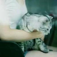 长风归去 我也只是在很努力的生