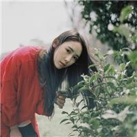 风大记得回家 夜长梦还多，你就不要
