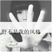 送花的人最可爱。 爱与不爱 都不再与你