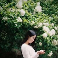 你的故事. 你若真心对我，我必让