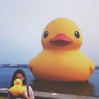 爱好孤独。 你的存在是我唯一想要