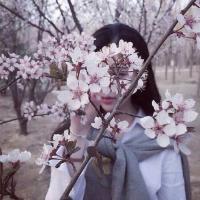 樱女：秋季少女 眼泪是你邮寄给我的礼