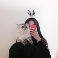 樱女：雨季少女 闯入我生活的人是你，