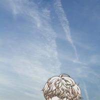 漫旅者 2.遗忘，是我们不可