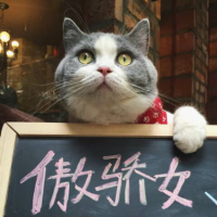 喵 理想中的美好，终究敌