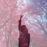 那个让你流泪的，是你
