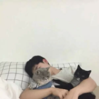 我们学会许多说法来掩饰不碰的伤疤 如果情绪可以冬眠，那