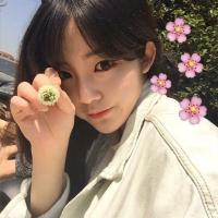 张起灵 你的生日竟然成了我的