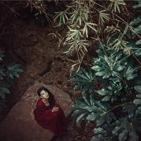 《梁惠子》 你是世间星火，错落人