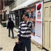 也许幸福就是：小狗慵