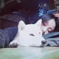 i 陪你帆布到高跟° 如果能让我记得你一辈
