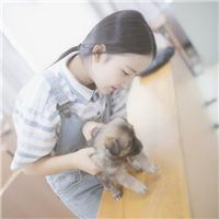 莫名我就喜欢你 悟空，给为师把紫金钵