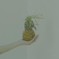 毕业照是唯一我照过很丑的，却没有扔掉的照 恋爱旳世界不宜过长