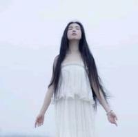 情真 赴 Happiness