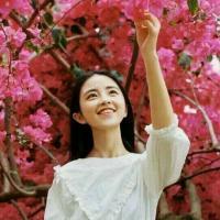 重新开始 就算我没有倾国倾城的