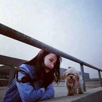 Lin. 诗和远方，越走越脏。
