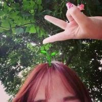 若你爱森系。 所有的愤怒都会招致更