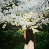 落栀 我要画个更美的世界，
