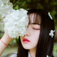 合上仓促的青春之书，