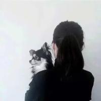 要么孤独 其实我最后一个奢求的