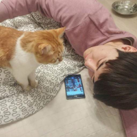 最固执的是一个人的心