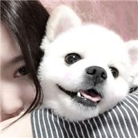 莫生情 如果妳愛我，像我愛妳