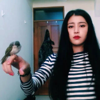 《美女琳》 傾我半世流離，換迩笑