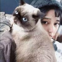 把悲伤温习了一遍，告