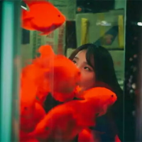 《美女琳》 我做过做勇敢的事情，