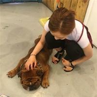 张起灵 人心始终都是个可疑不
