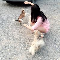 我不太主动找人聊天。