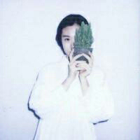 森 人的眼睛有5.76亿
