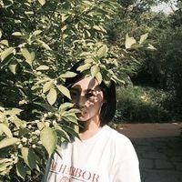 落花有意恋流水流水无