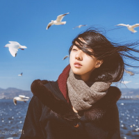 《美女琳》 人生能有几时痛，唯有