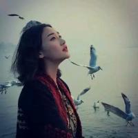 只因是女子。 我不会挽留任何一个企