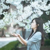 以心换心 你问我爱你值不值得，