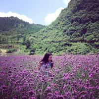 随遇而安 峩喜欢劲舞团 迩走了