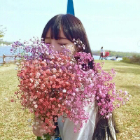 花满屋，你爱么？ 向前或向后，只有你自