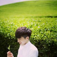 阳光 所谓奋不顾身就是在有
