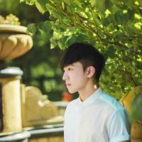 阳光 所谓奋不顾身就是在有
