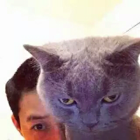 喜欢猫 喜欢你 要是太勉强自己的话，